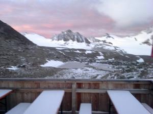 Bild-