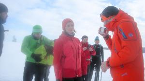 Bild-
