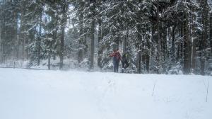 Bild-