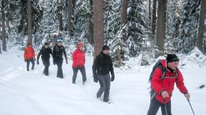 Bild-