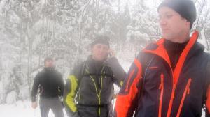 Bild-