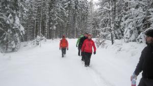 Bild-